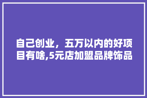 自己创业，五万以内的好项目有啥,5元店加盟品牌饰品。 饮食技巧
