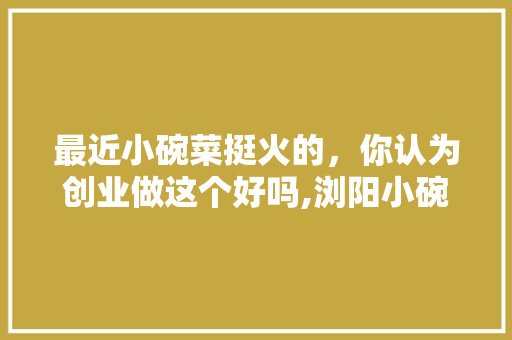 最近小碗菜挺火的，你认为创业做这个好吗,浏阳小碗菜专用碗厂家。