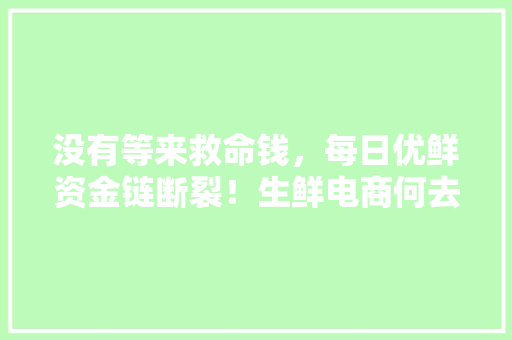 没有等来救命钱，每日优鲜资金链断裂！生鲜电商何去何从,每日优鲜生鲜超市下载。 健康生活