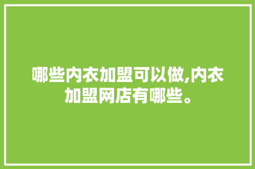 哪些内衣加盟可以做,内衣加盟网店有哪些。