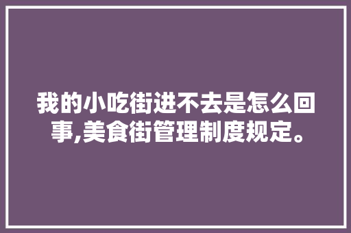 我的小吃街进不去是怎么回事,美食街管理制度规定。