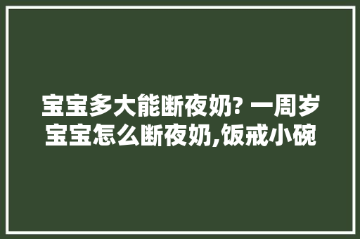 宝宝多大能断夜奶? 一周岁宝宝怎么断夜奶,饭戒小碗菜开胃爆炒怎么加盟。 身体保健