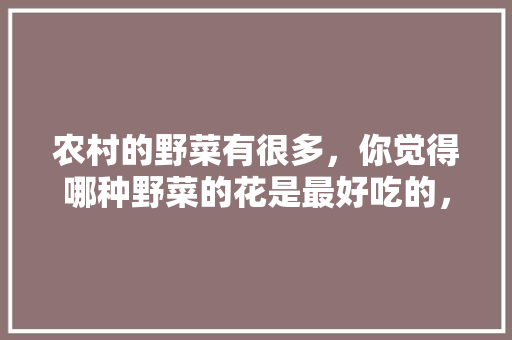 农村的野菜有很多，你觉得哪种野菜的花是最好吃的，怎么做,包馔夜包子加盟连锁品牌。 锻炼方法