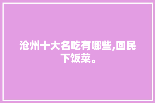 沧州十大名吃有哪些,回民下饭菜。 综合便民