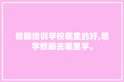 修脚培训学校哪里的好,想学修脚去哪里学。