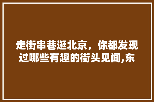 走街串巷逛北京，你都发现过哪些有趣的街头见闻,东方一串烧烤创始人简介是谁。 锻炼方法