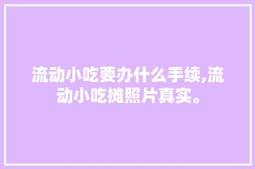 流动小吃要办什么手续,流动小吃摊照片真实。