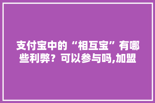 支付宝中的“相互宝”有哪些利弊？可以参与吗,加盟好多宝2元店挣钱吗。
