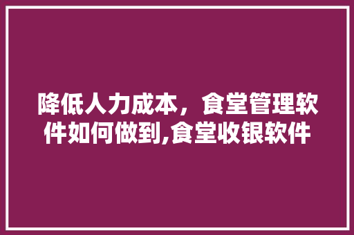降低人力成本，食堂管理软件如何做到,食堂收银软件哪个好用。