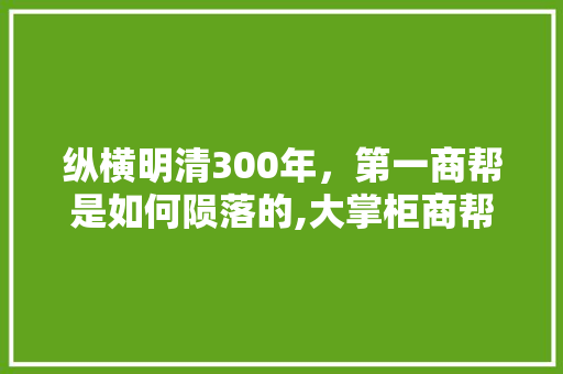 纵横明清300年，第一商帮是如何陨落的,大掌柜商帮之争怎么玩的。 健康生活