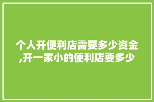 个人开便利店需要多少资金,开一家小的便利店要多少钱呢。