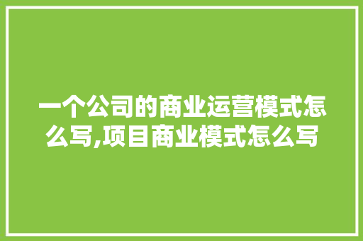 一个公司的商业运营模式怎么写,项目商业模式怎么写。