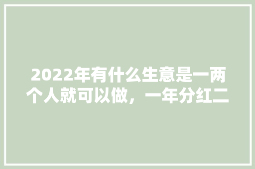 2022年有什么生意是一两个人就可以做，一年分红二三十万的,投资一两万能开什么店两三万。 健康生活