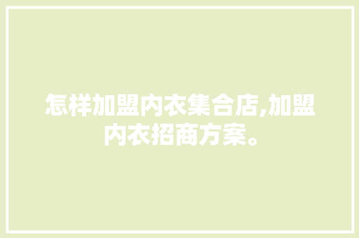 怎样加盟内衣集合店,加盟内衣招商方案。