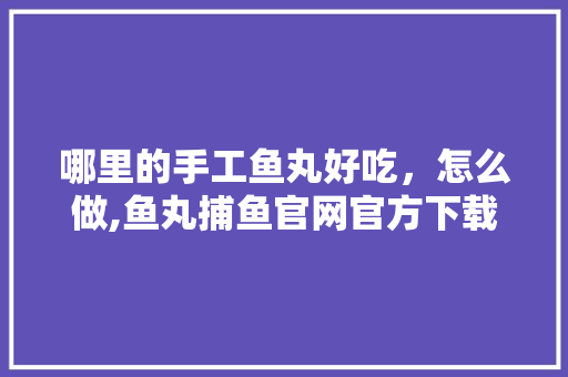 哪里的手工鱼丸好吃，怎么做,鱼丸捕鱼官网官方下载手机版。 饮食技巧