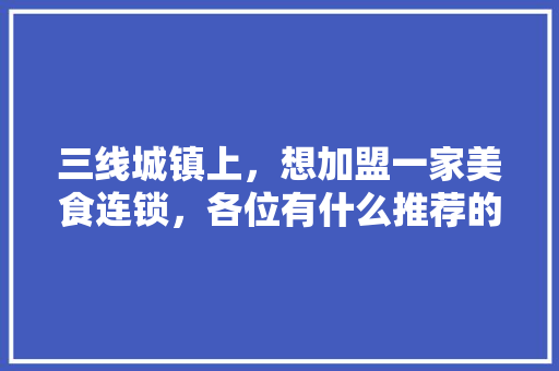 三线城镇上，想加盟一家美食连锁，各位有什么推荐的吗,二万元加盟小吃店怎么样。 饮食技巧