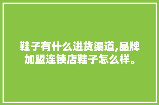 鞋子有什么进货渠道,品牌加盟连锁店鞋子怎么样。