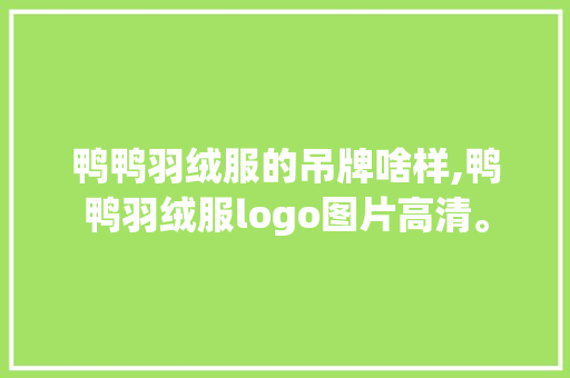 鸭鸭羽绒服的吊牌啥样,鸭鸭羽绒服logo图片高清。