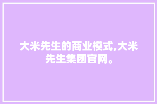 大米先生的商业模式,大米先生集团官网。