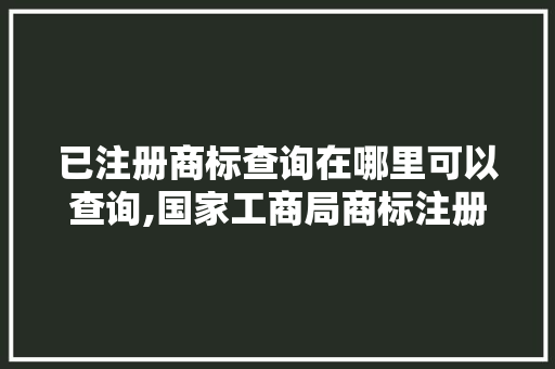 已注册商标查询在哪里可以查询,国家工商局商标注册。