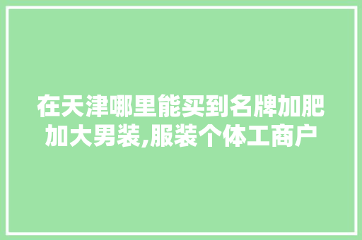 在天津哪里能买到名牌加肥加大男装,服装个体工商户名字。