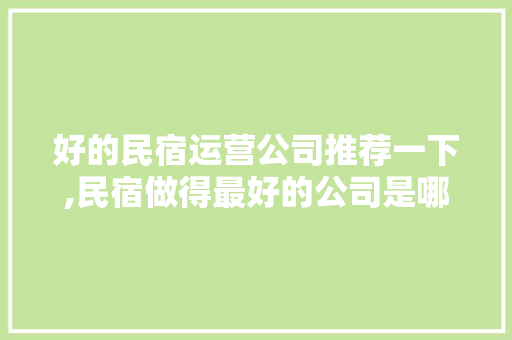 好的民宿运营公司推荐一下,民宿做得最好的公司是哪家。