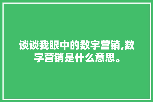 谈谈我眼中的数字营销,数字营销是什么意思。 饮食技巧