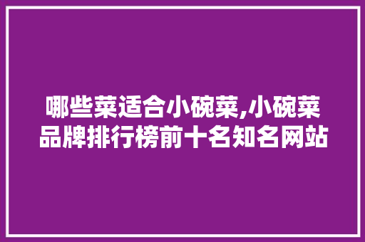 哪些菜适合小碗菜,小碗菜品牌排行榜前十名知名网站有哪些。