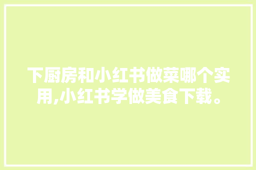 下厨房和小红书做菜哪个实用,小红书学做美食下载。