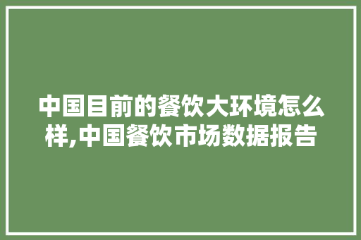 中国目前的餐饮大环境怎么样,中国餐饮市场数据报告。 身体保健