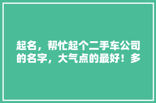 起名，帮忙起个二手车公司的名字，大气点的最好！多谢,二手车店名字大全大气三个字。