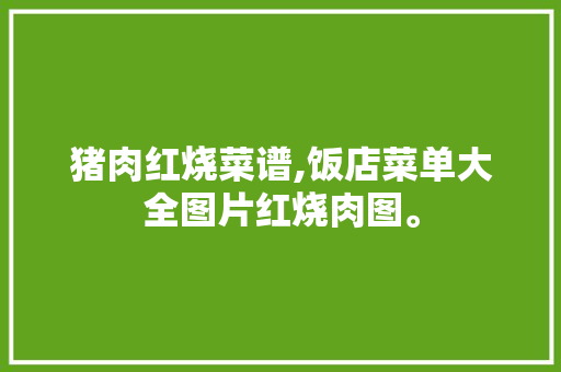 猪肉红烧菜谱,饭店菜单大全图片红烧肉图。