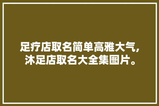 足疗店取名简单高雅大气,沐足店取名大全集图片。 身体保健