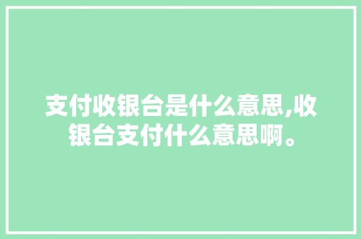 支付收银台是什么意思,收银台支付什么意思啊。 饮食技巧
