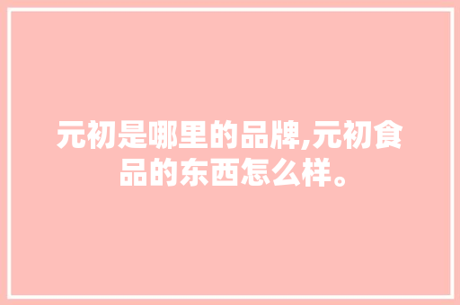 元初是哪里的品牌,元初食品的东西怎么样。