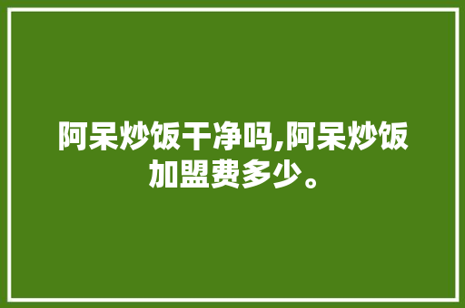 阿呆炒饭干净吗,阿呆炒饭加盟费多少。