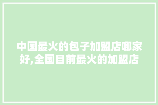 中国最火的包子加盟店哪家好,全国目前最火的加盟店排名第一名。