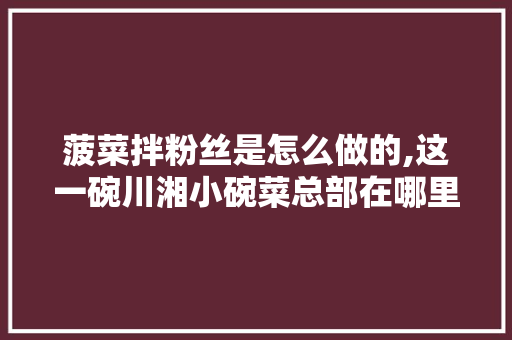菠菜拌粉丝是怎么做的,这一碗川湘小碗菜总部在哪里。