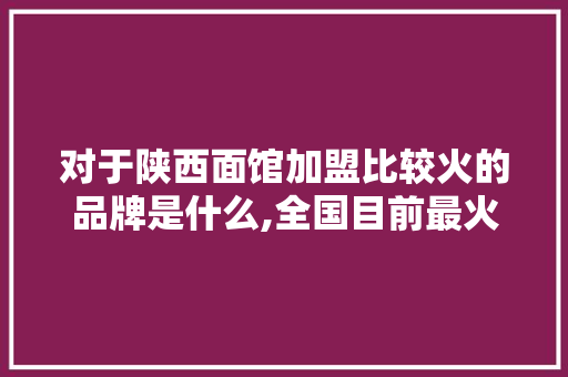 对于陕西面馆加盟比较火的品牌是什么,全国目前最火的加盟店面馆排名榜。