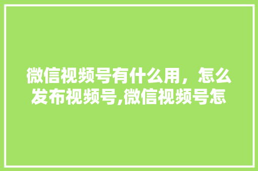 微信视频号有什么用，怎么发布视频号,微信视频号怎么注册第二个。