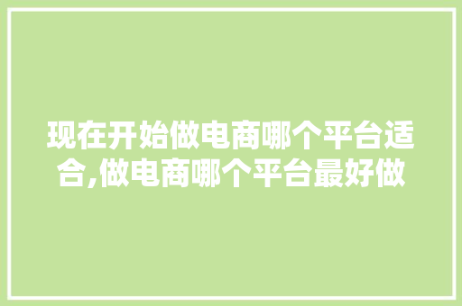 现在开始做电商哪个平台适合,做电商哪个平台最好做呢知乎。