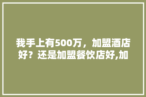 我手上有500万，加盟酒店好？还是加盟餐饮店好,加盟餐饮店连锁有哪些。 综合便民