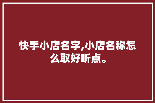 快手小店名字,小店名称怎么取好听点。