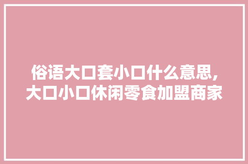 俗语大口套小口什么意思,大口小口休闲零食加盟商家怎么样。
