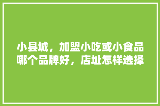 小县城，加盟小吃或小食品哪个品牌好，店址怎样选择,适合小县城开的加盟店小吃推荐一下。