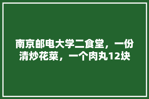 南京邮电大学二食堂，一份清炒花菜，一个肉丸12块。这合理吗,南京食堂承包哪家好一点。 健康生活
