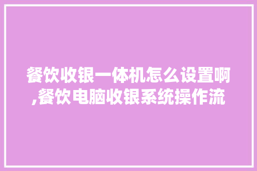 餐饮收银一体机怎么设置啊,餐饮电脑收银系统操作流程图。