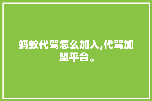 蚂蚁代驾怎么加入,代驾加盟平台。