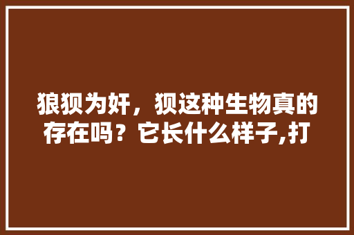 狼狈为奸，狈这种生物真的存在吗？它长什么样子,打工人吃的饭菜真实图片大全。 综合便民