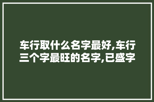 车行取什么名字最好,车行三个字最旺的名字,已盛字为主。 健康生活